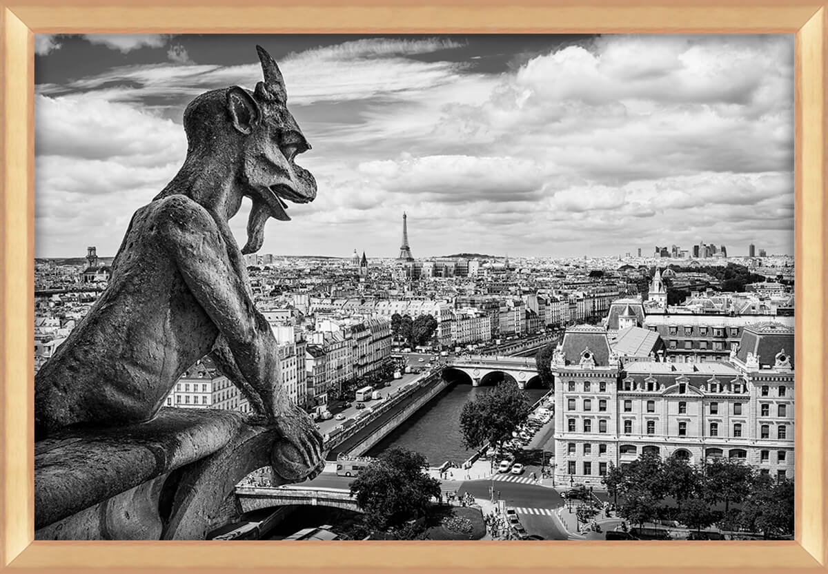 Gargoyle on Notre-Dame, tirage encadré sur aluminium 90x60 cm